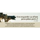 "On regarde ça d'un peu plus près?" - Comment la loi de Transformation de la Fonction Publique impacte les dispositions du temps de travail dans les collectivités territoriales...