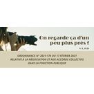 "On regarde ça d'un peu plus près?" - N°4_2021 : Ordonnance n° 2021-174 du 17 février 2021 relative à la négociation et aux accords collectifs dans la fonction publique